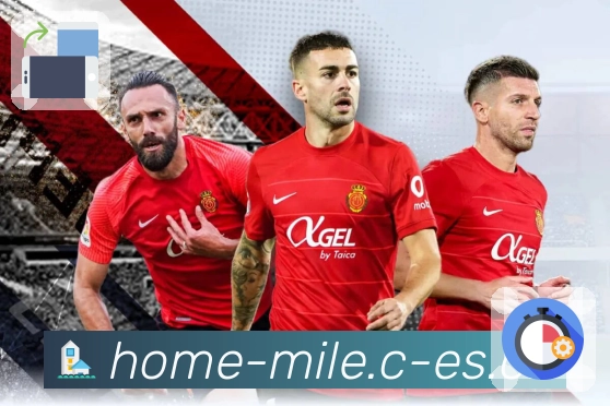 米乐专业数据说明